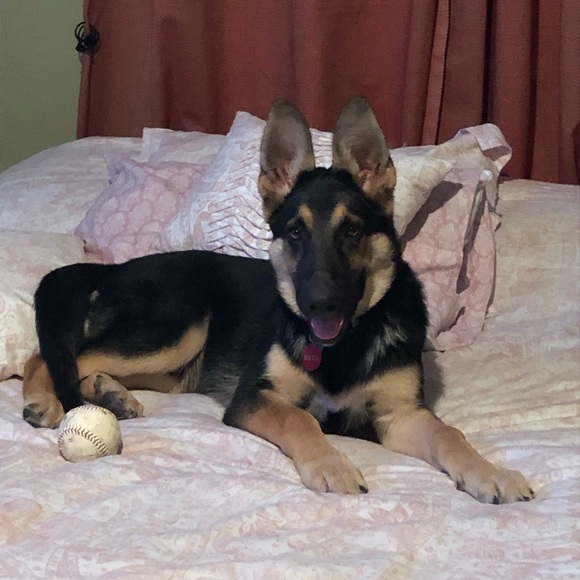 Meet your Posher, Kimberly - Picture 1 of 1